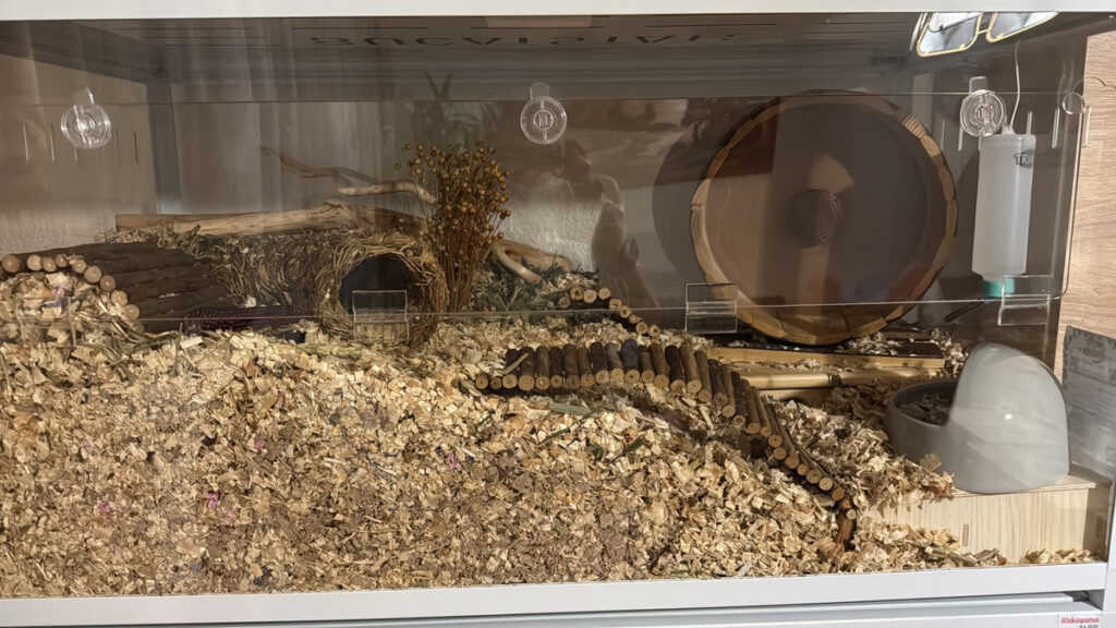 0f866f18 89d2 4ad1 bed9 af28b4ecdd00