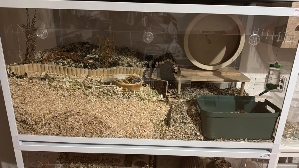 17a74f8a 7acb 47dc 9dc8 cfb959b5c36d