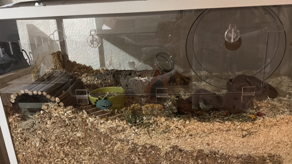 8d3e1661 b9db 4cec 8b7f 78a6ae9dcc9b