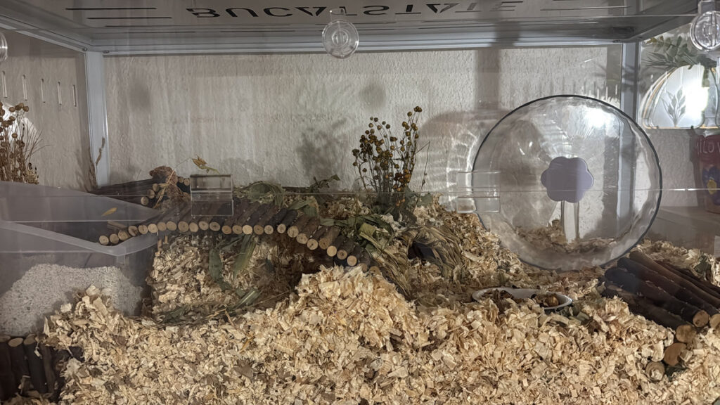 ad9ef50e 9eb7 43f5 ba82 f890924097c1