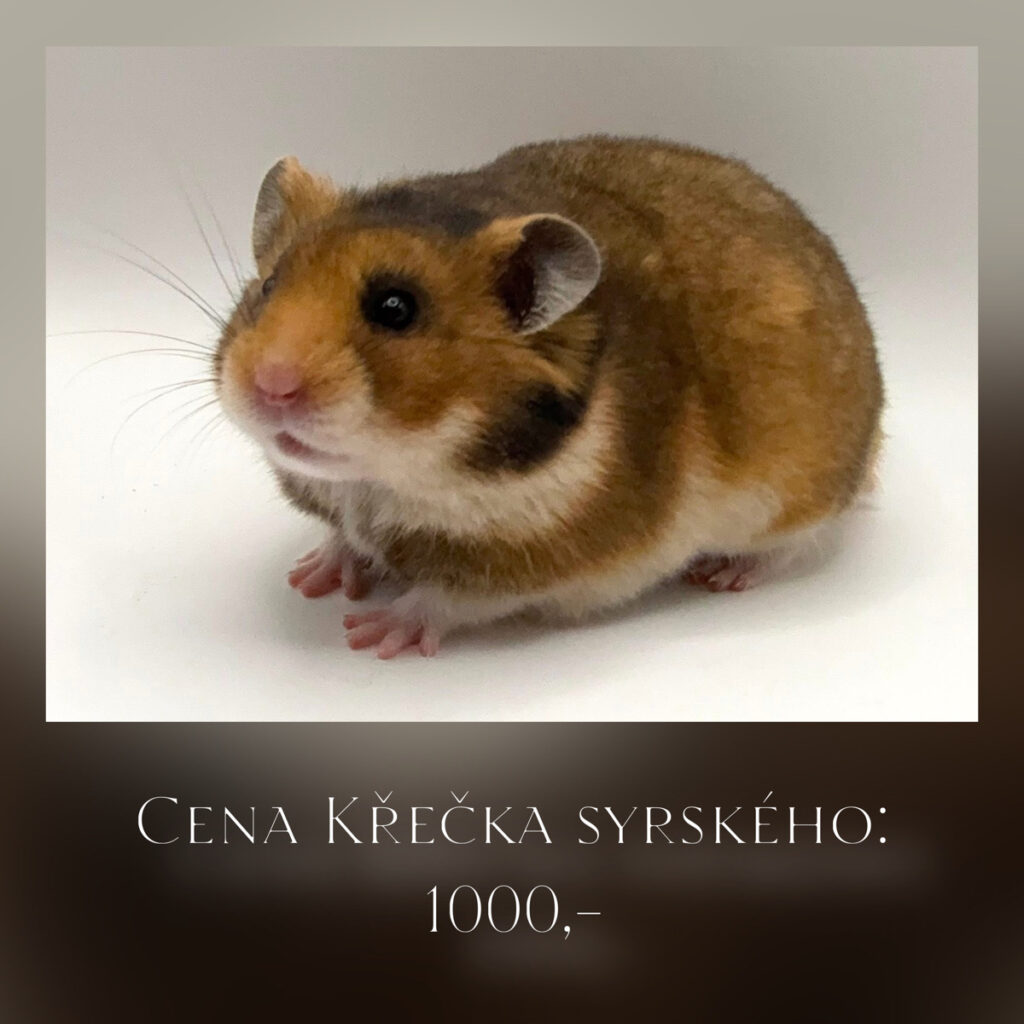 e7c85c22 1c1e 44e5 bf7b a9e8bcf21737
